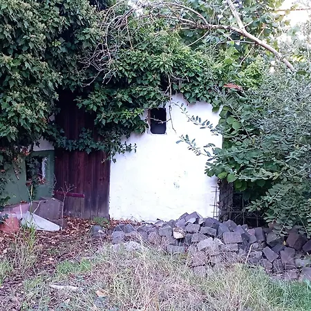 Haus * Scheibenhardt